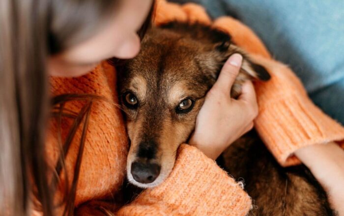 rak-sutka-i-mastektomia-u-psa-guz-sutka-rokowanie-i-leczenie-nowotworu