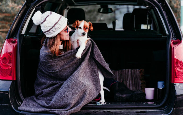 jak-bezpiecznie-podrozowac-z-psem-na-swieta