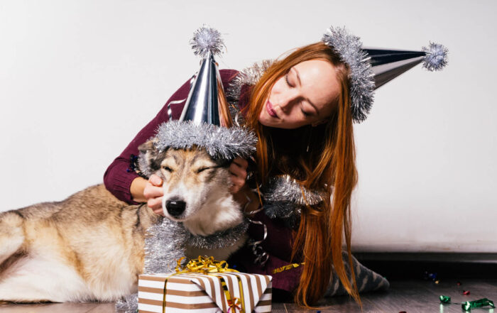 jak-zmniejszyc-stres-psa-w-sylwestra