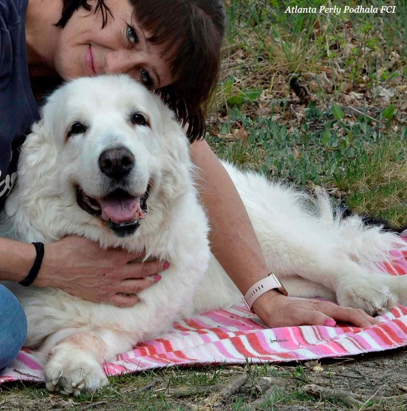 dog-natural-perly-podhala